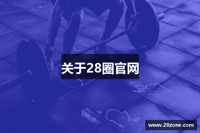关于28圈官网
